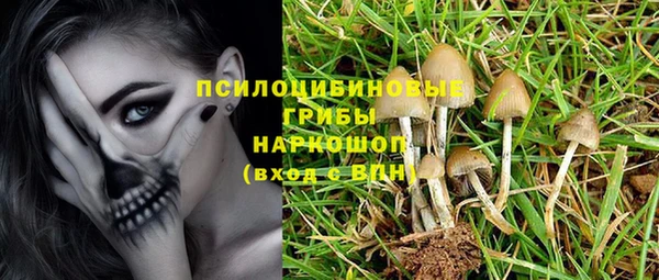 амф Беломорск