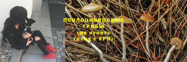наркотики Баксан