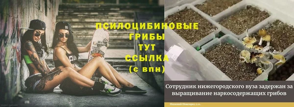 стаф Белоозёрский